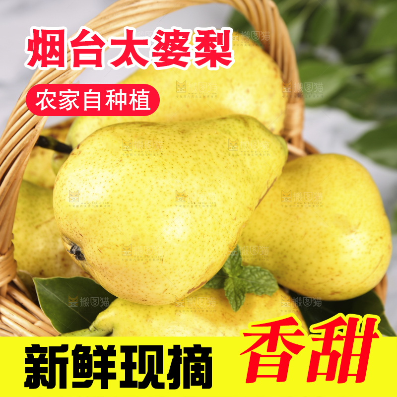 篮子里的山东太婆梨