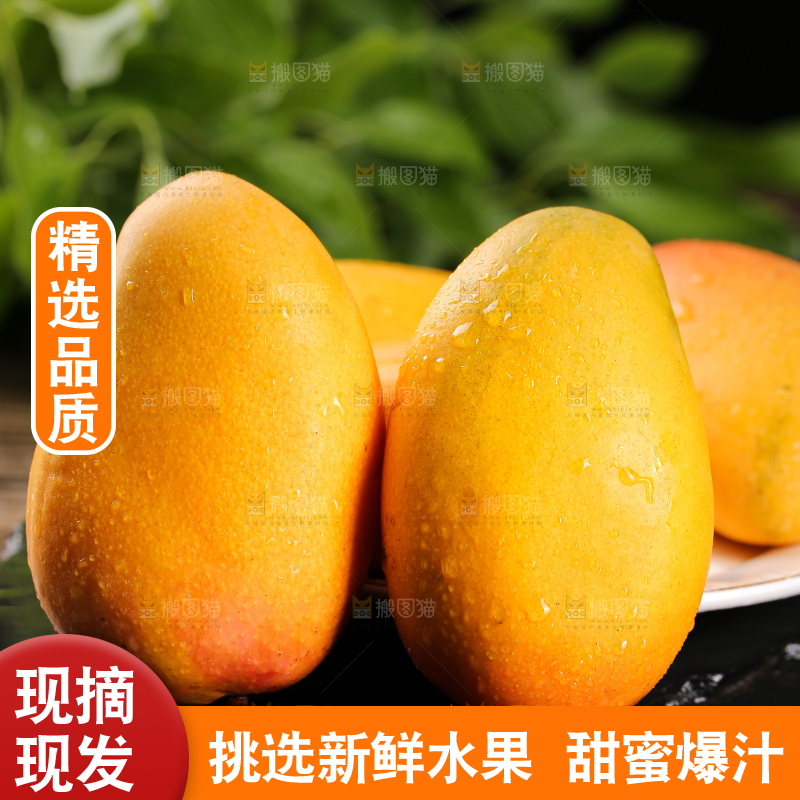 黑底上放着的小台芒