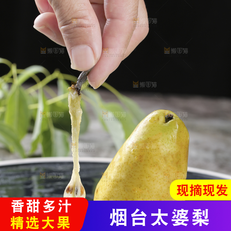 手上拿着太婆梨果核