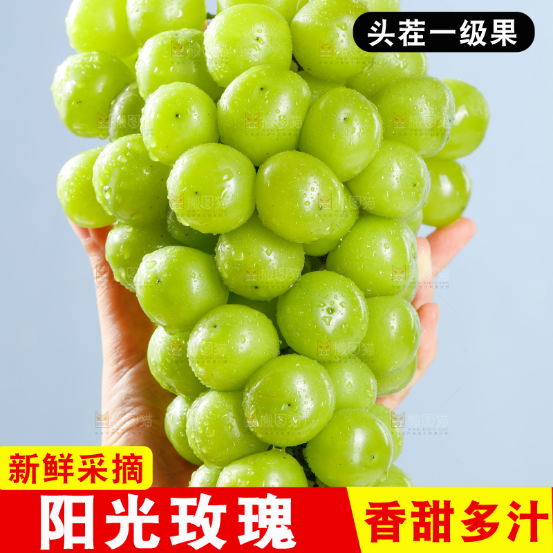 手拿着阳光玫瑰青提