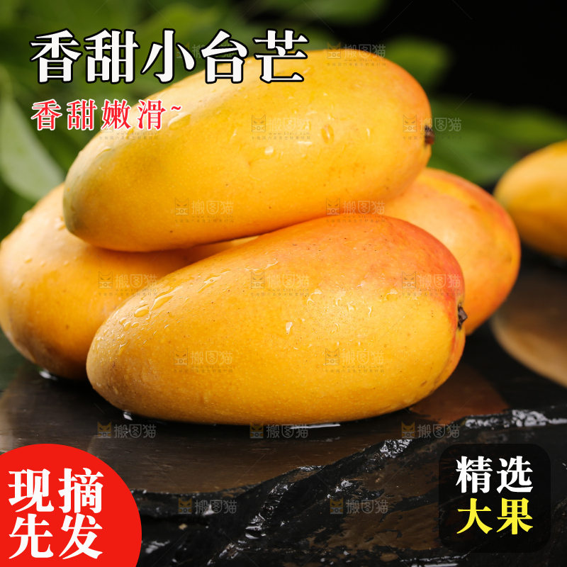 黑底上放着小台农芒果