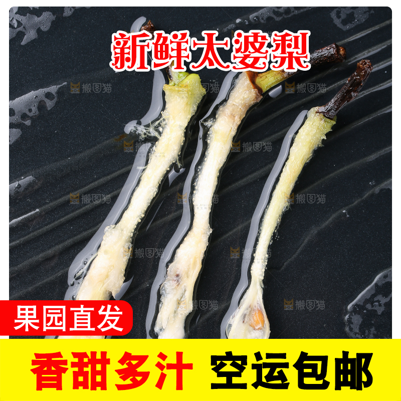 黑底上放着太婆梨果核