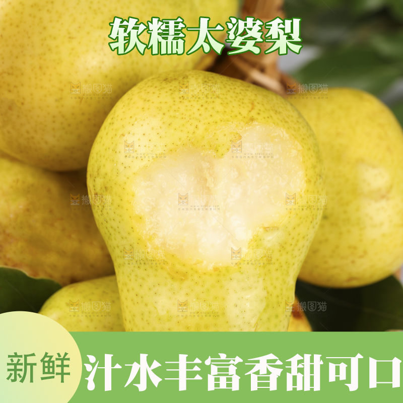 篮子里的山东太婆梨