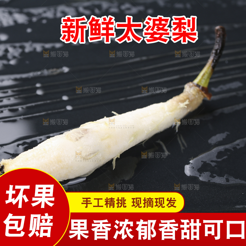 黑底上放着太婆梨果核