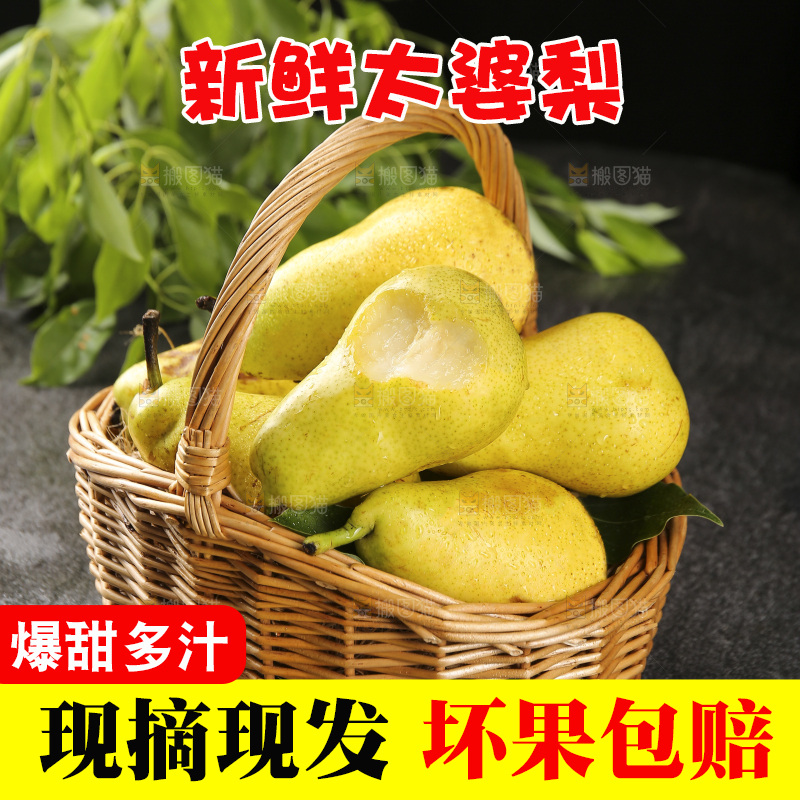 篮子里的山东太婆梨