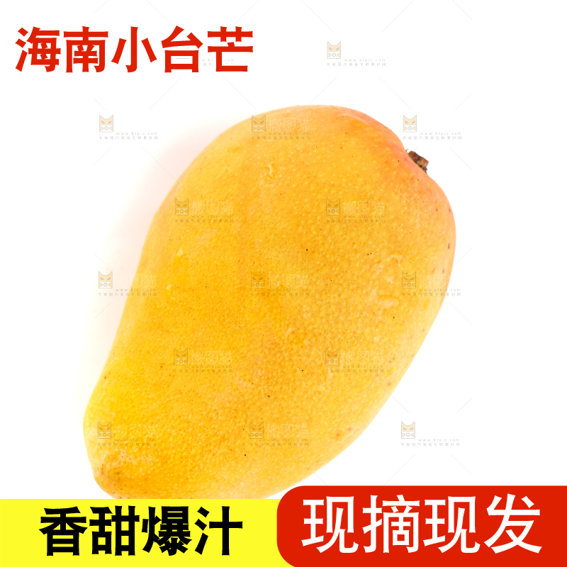 白底上的小台芒