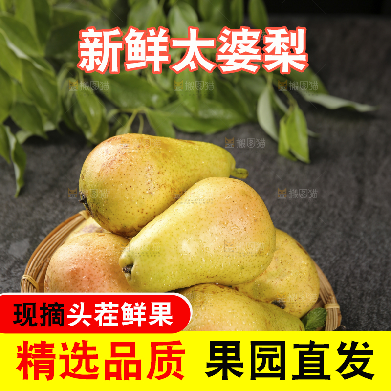 黑底上放着一篮太婆梨