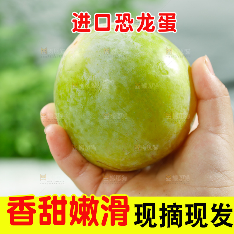 手里拿着恐龙蛋李子