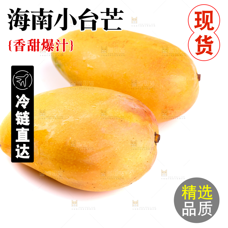 白底上的小台芒