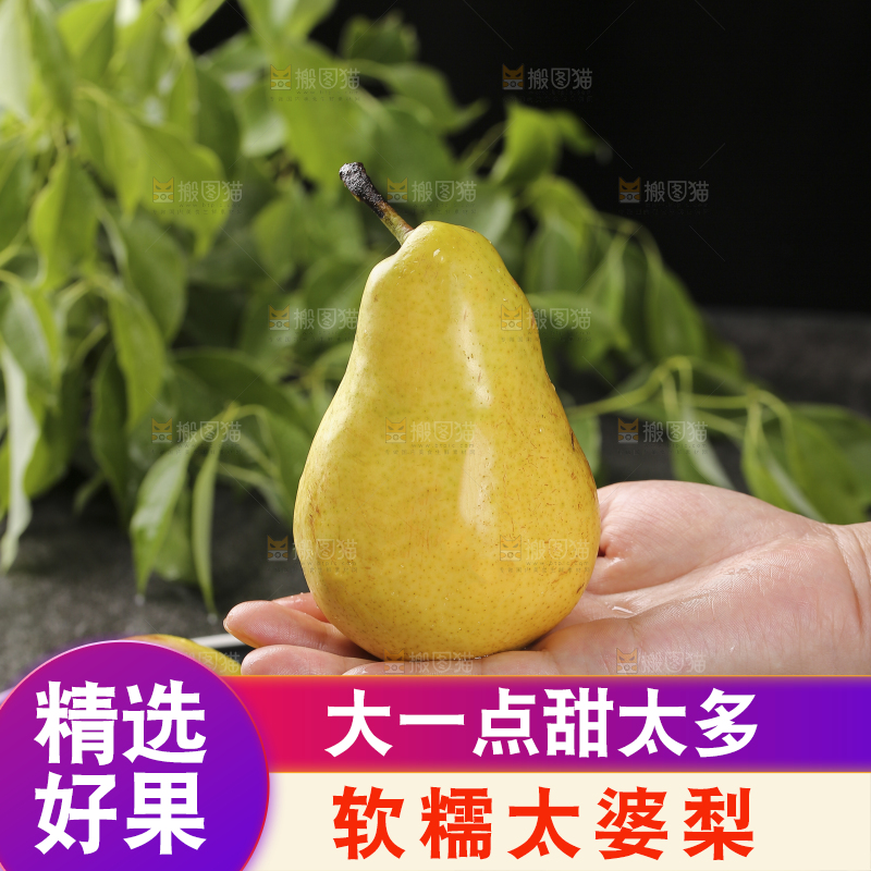 手上放着新鲜太婆梨