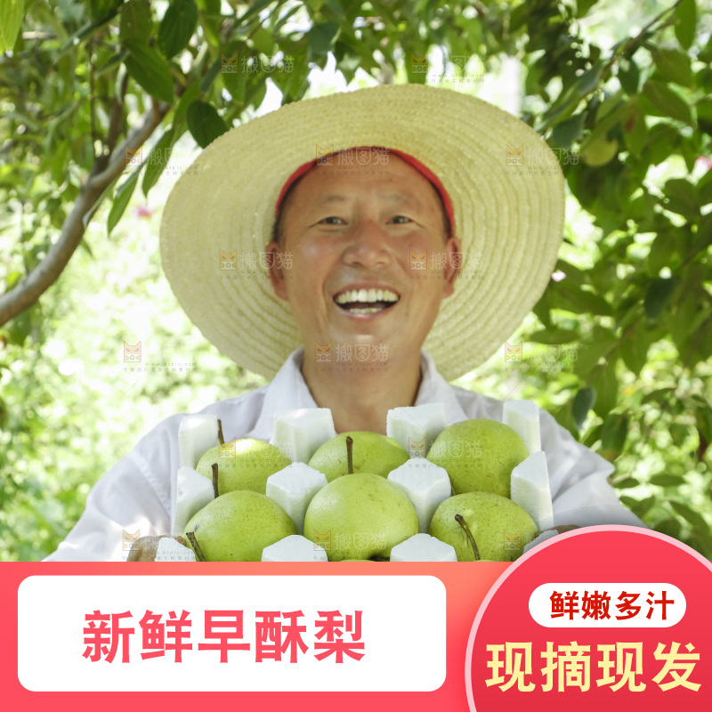 农民手里拿着一箱早酥梨