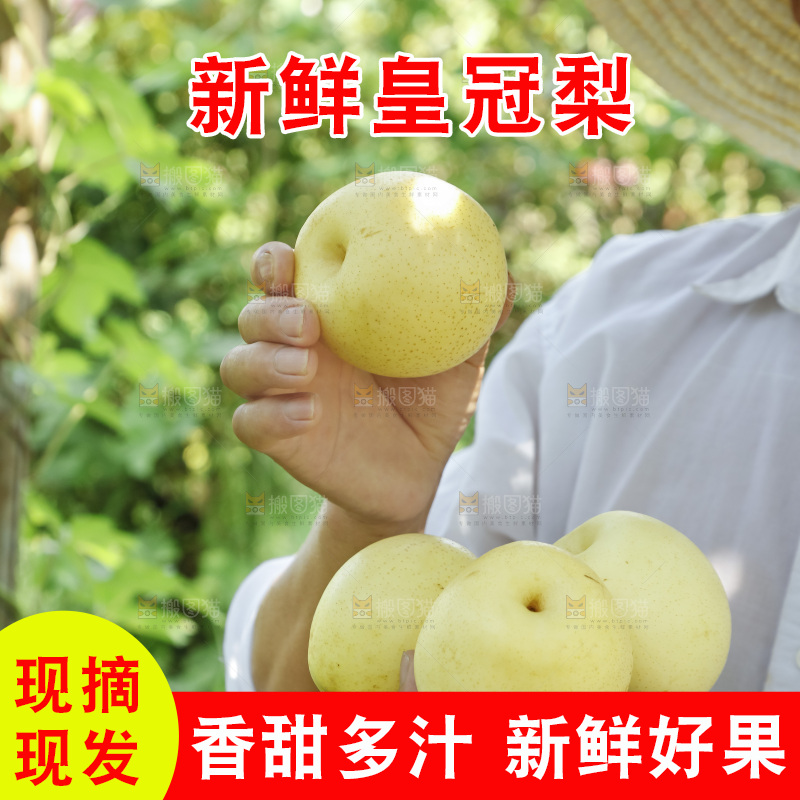 手里捧着新鲜皇冠梨
