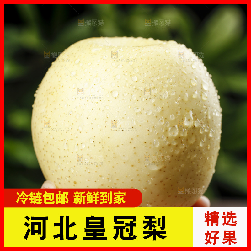 手里拿着新鲜皇冠梨