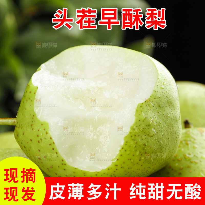 堆放着的陕西早酥梨
