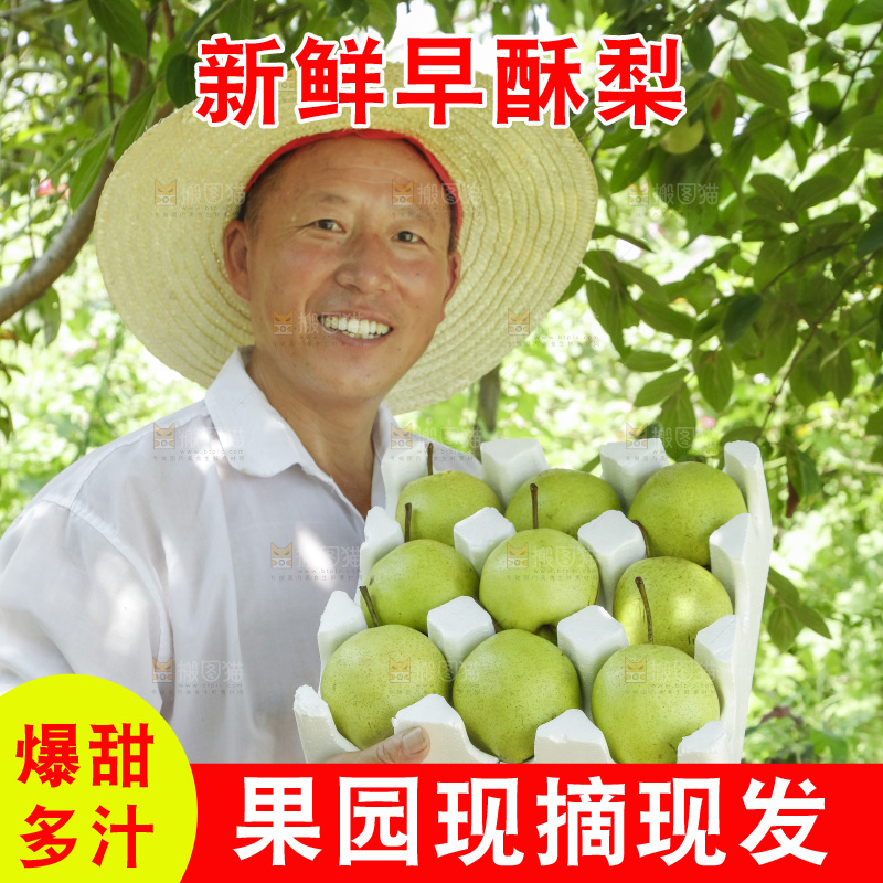 农民手里拿着一箱早酥梨