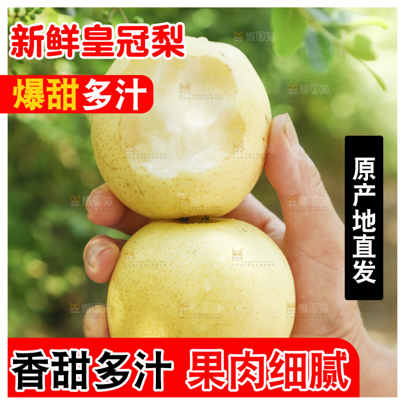 手里咬开的皇冠梨