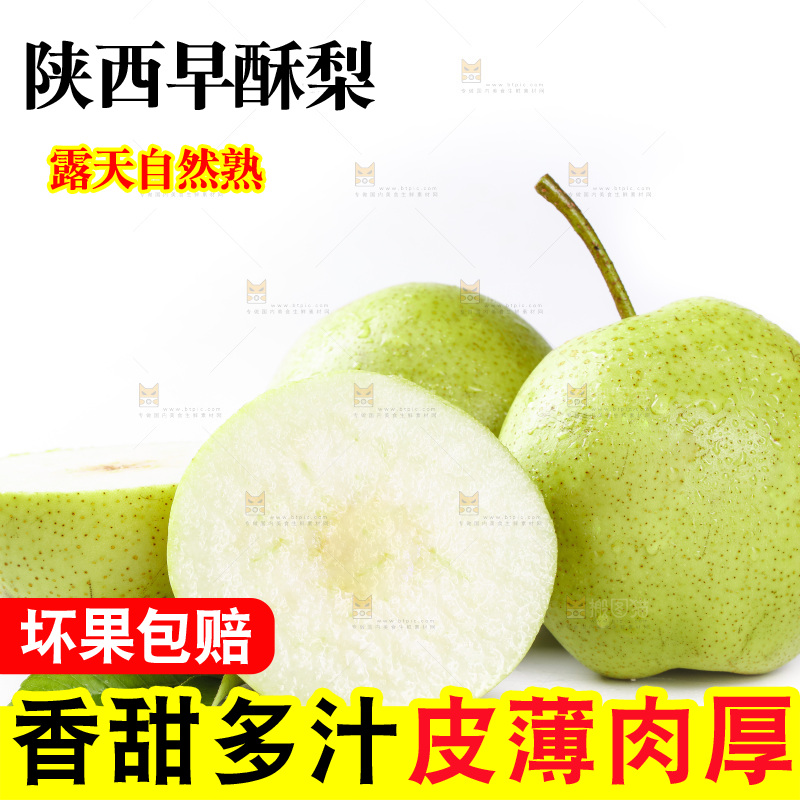 白底上的早酥梨