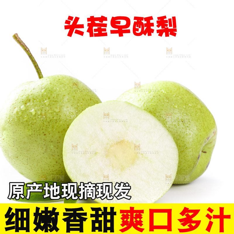 白底上的早酥梨