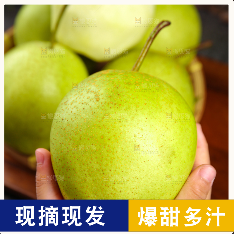 手里拿着早酥梨
