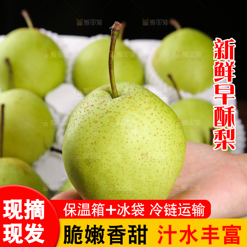 手上放着陕西早酥梨