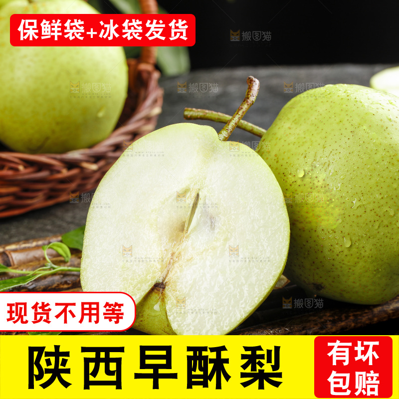 深底上的陕西早酥梨