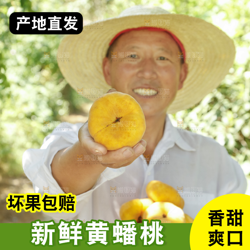 农民手里拿着黄蟠桃