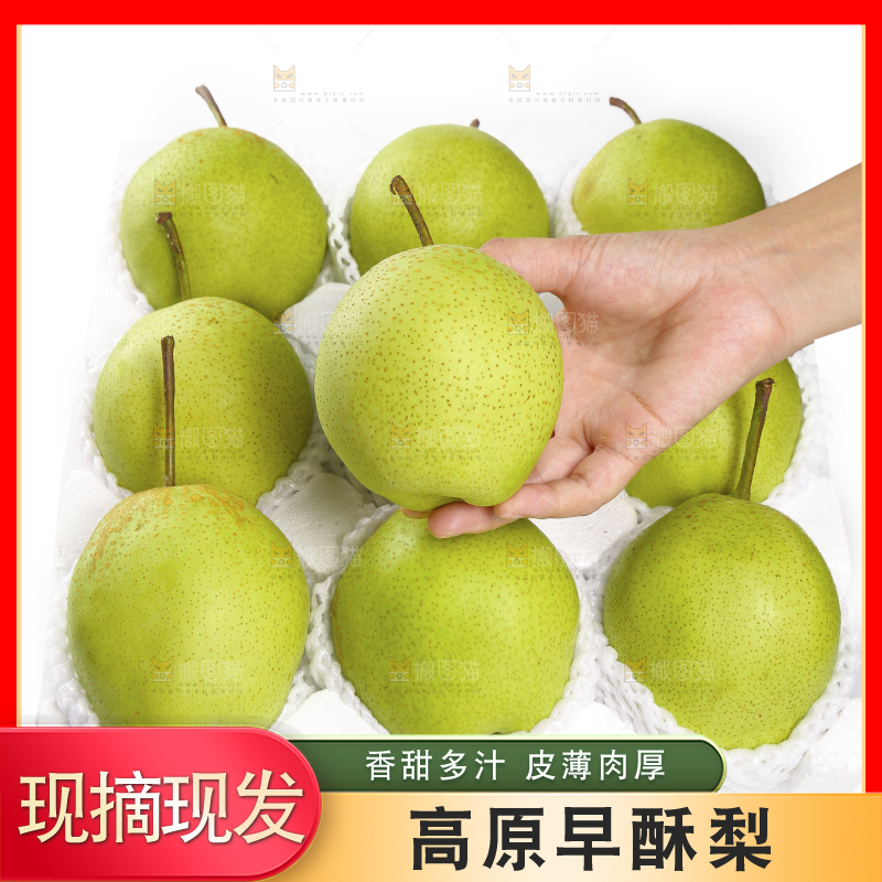 手里拿着新鲜早酥梨