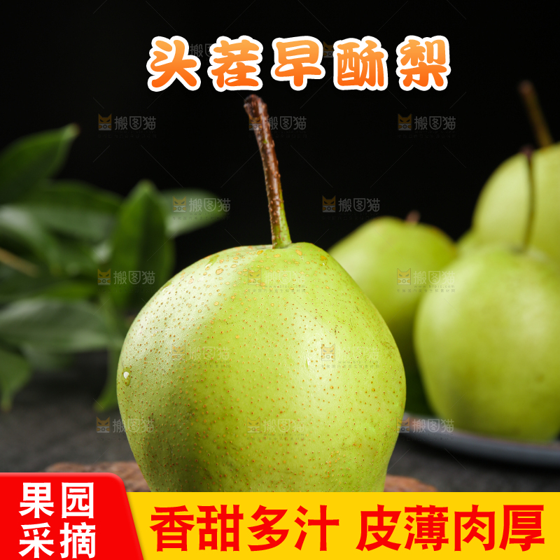 木底上放着的早酥梨