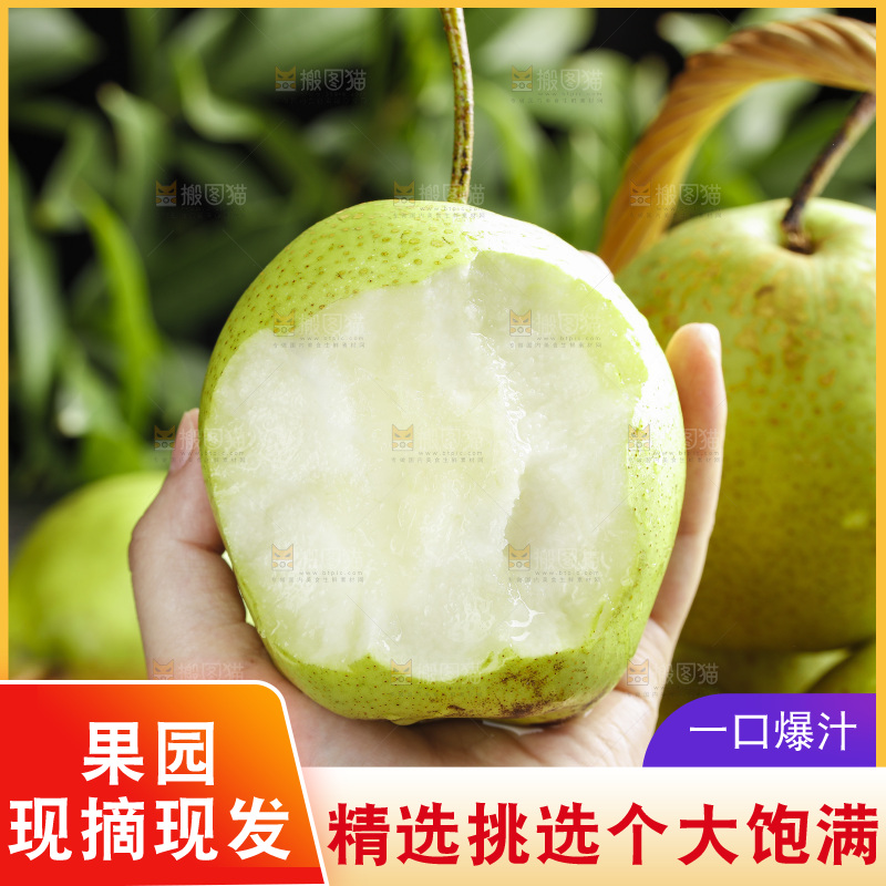 手里拿着咬开的陕西早酥梨