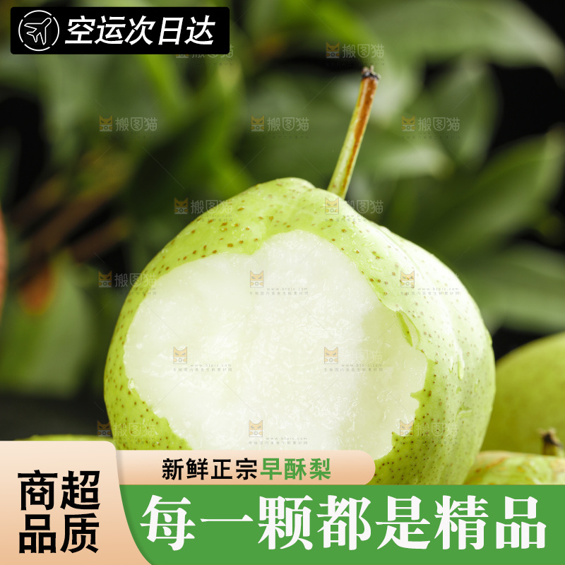 堆放着的陕西早酥梨