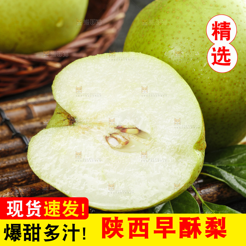 深底上的陕西早酥梨
