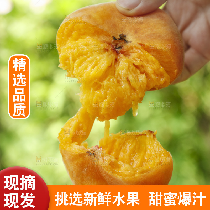 手里拿着掰开的黄蟠桃