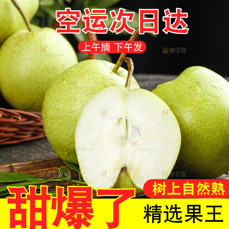 深底上的陕西早酥梨