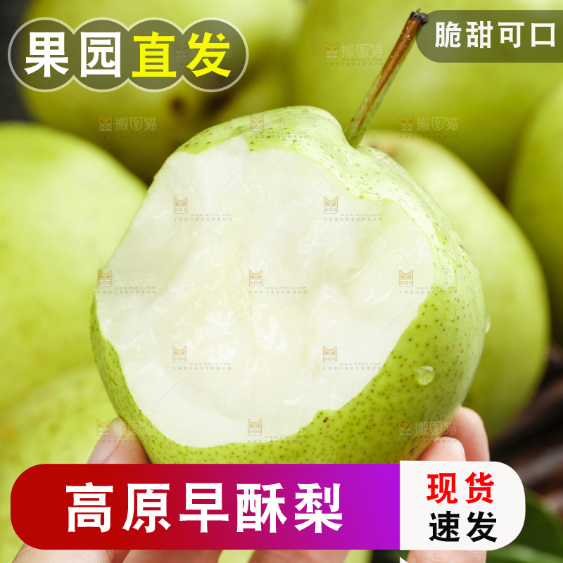 手里拿着新鲜早酥梨