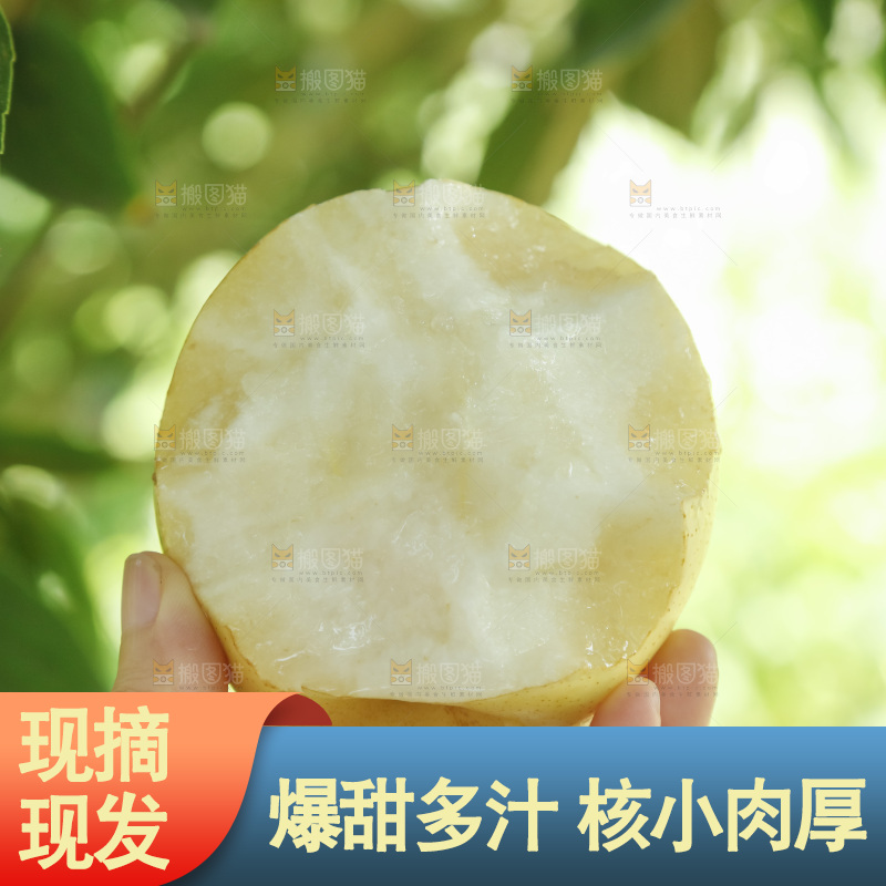 手里咬开的皇冠梨