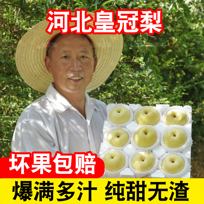 农民手里拿着一箱皇冠梨