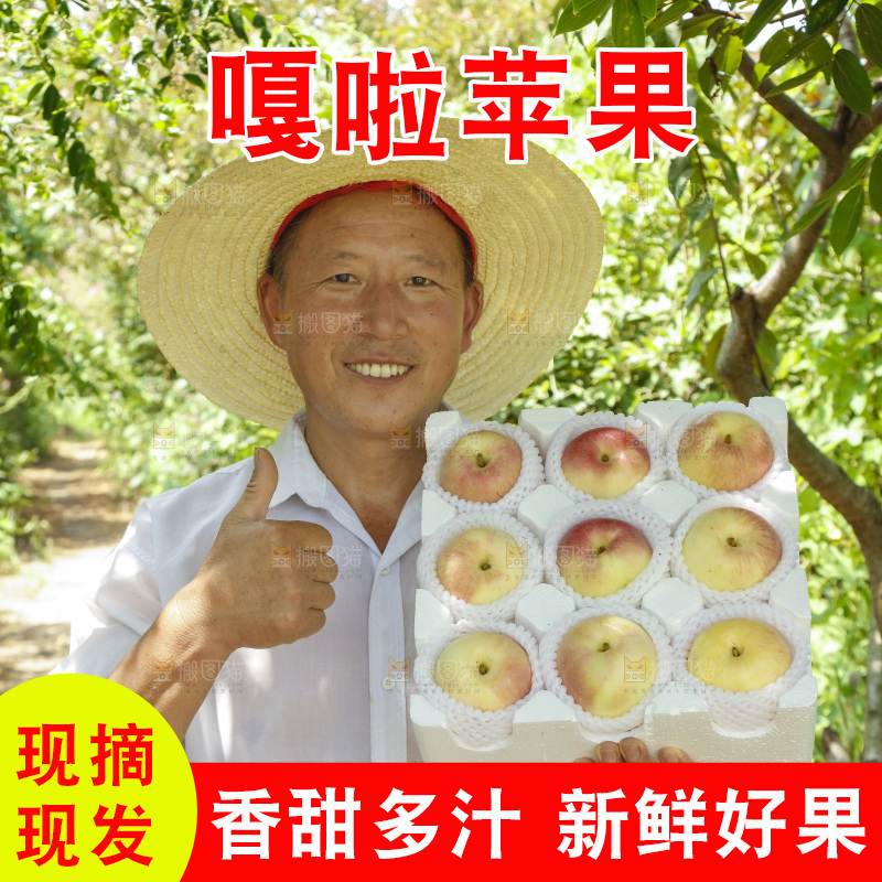 农民拿着礼品箱里的嘎啦果