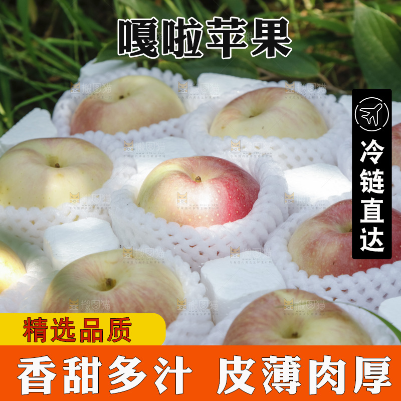 泡沫箱里的嘎啦苹果