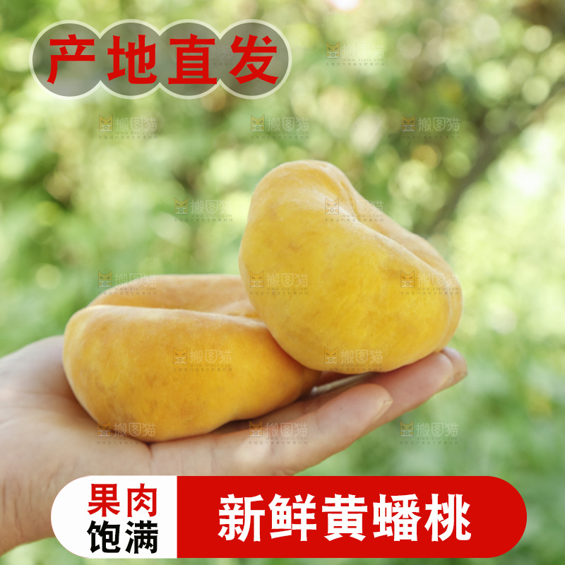 手里放着黄金蟠桃