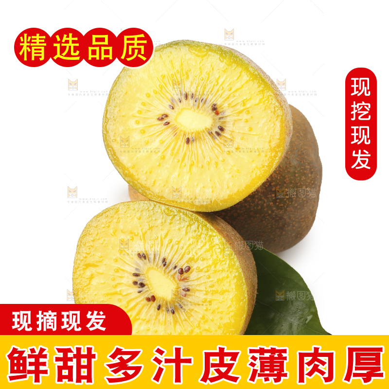 白底上摆放着黄心猕猴桃