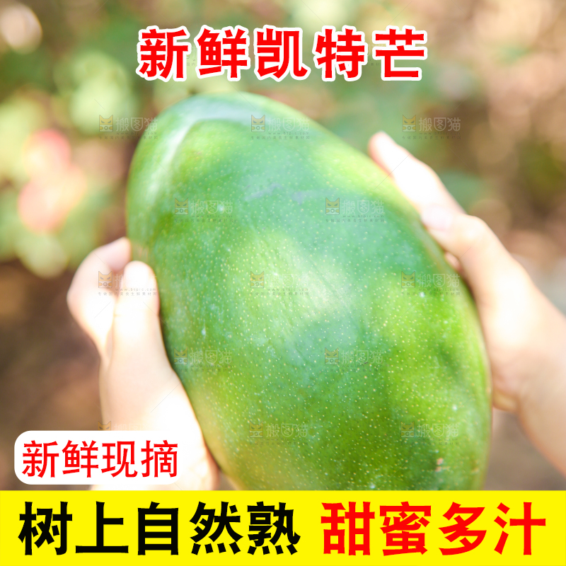 手里拿着凯特芒果