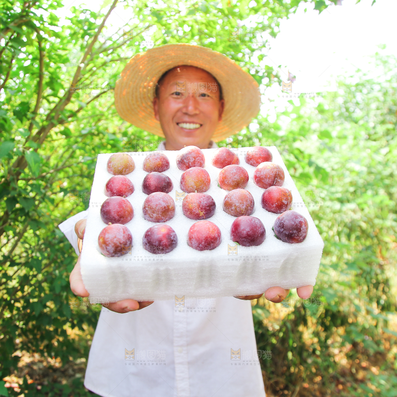 农民手里拿着一盒脆红李