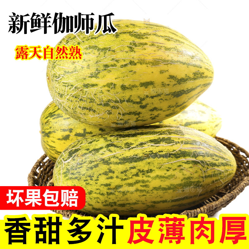 白底上放着一篮伽师瓜