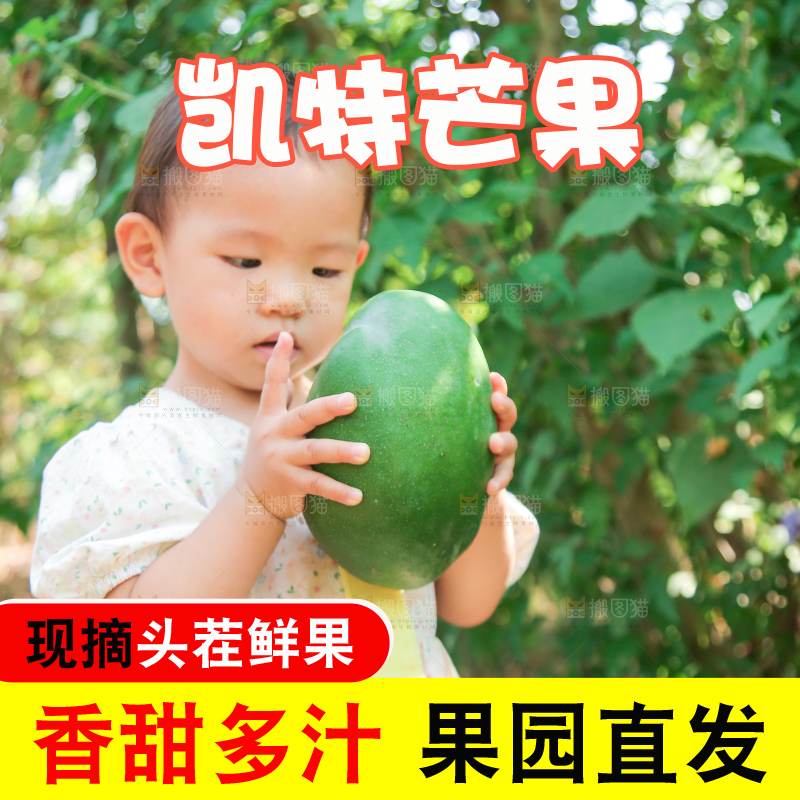 小孩手里拿着青皮凯特芒