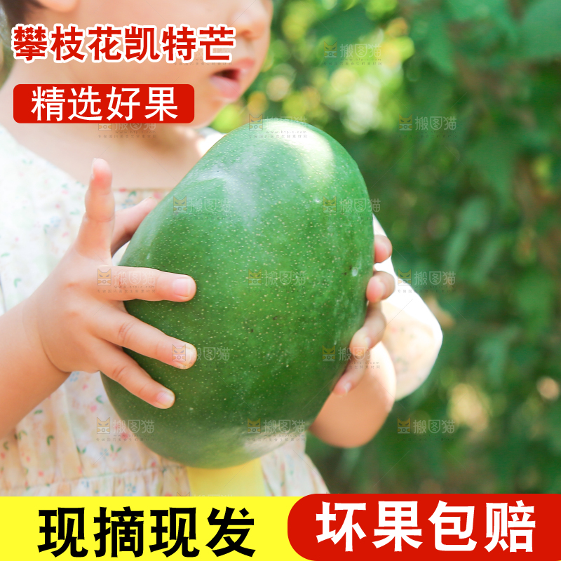 小孩手里拿着青皮凯特芒