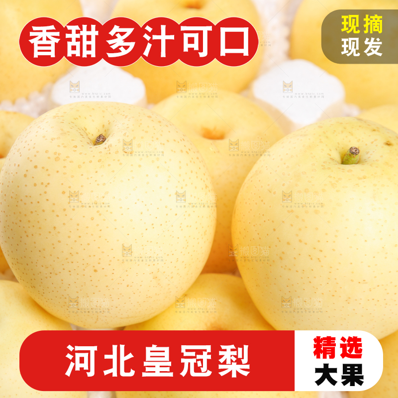 堆放着的砀山皇冠梨