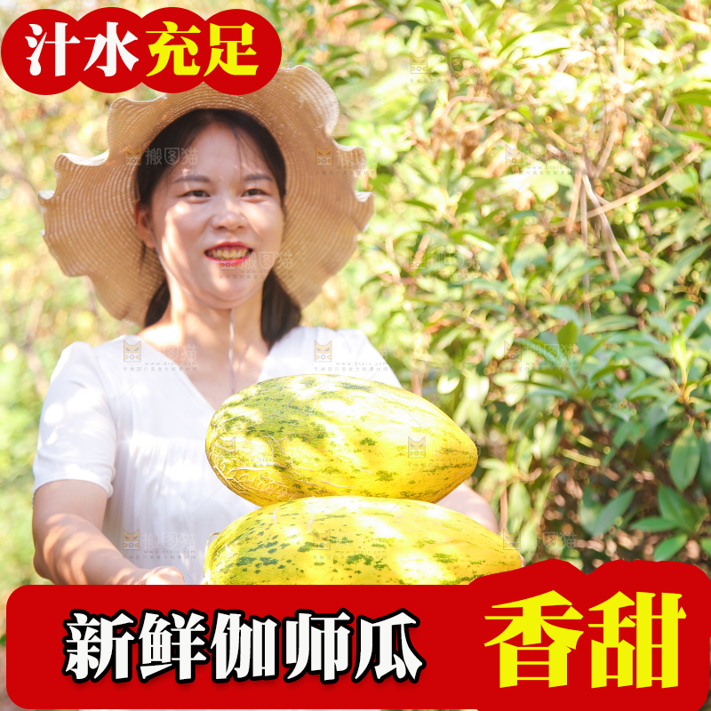 女孩手拿一篮哈密瓜