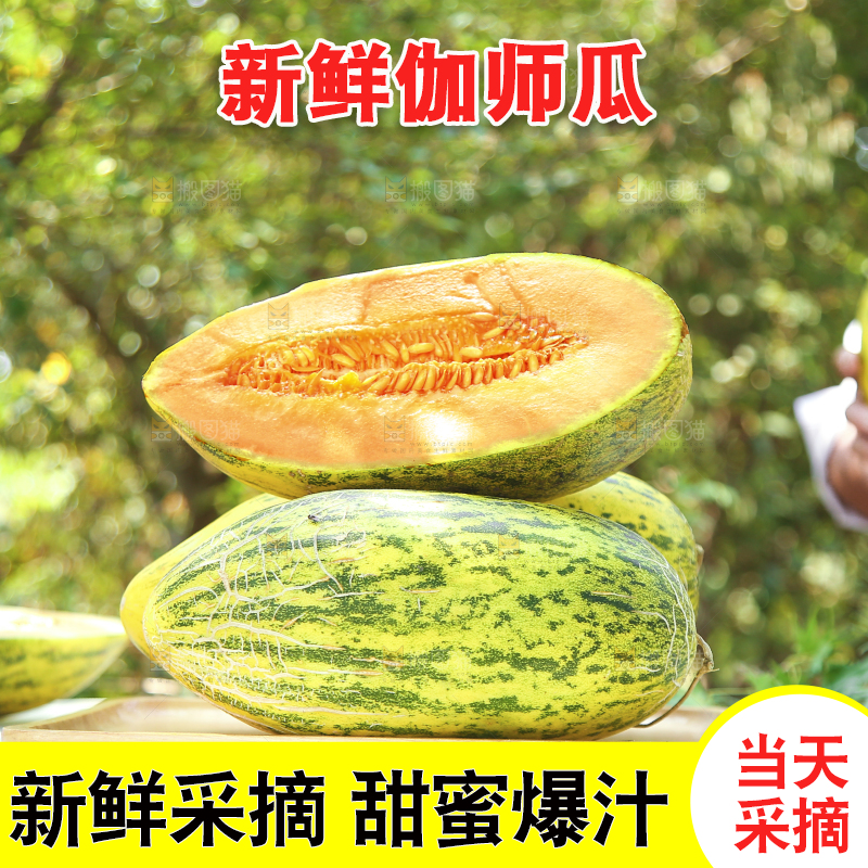 木盘里放着切开的伽师瓜