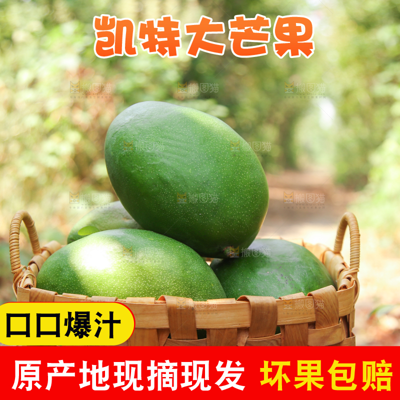 篮子里的青皮凯特芒