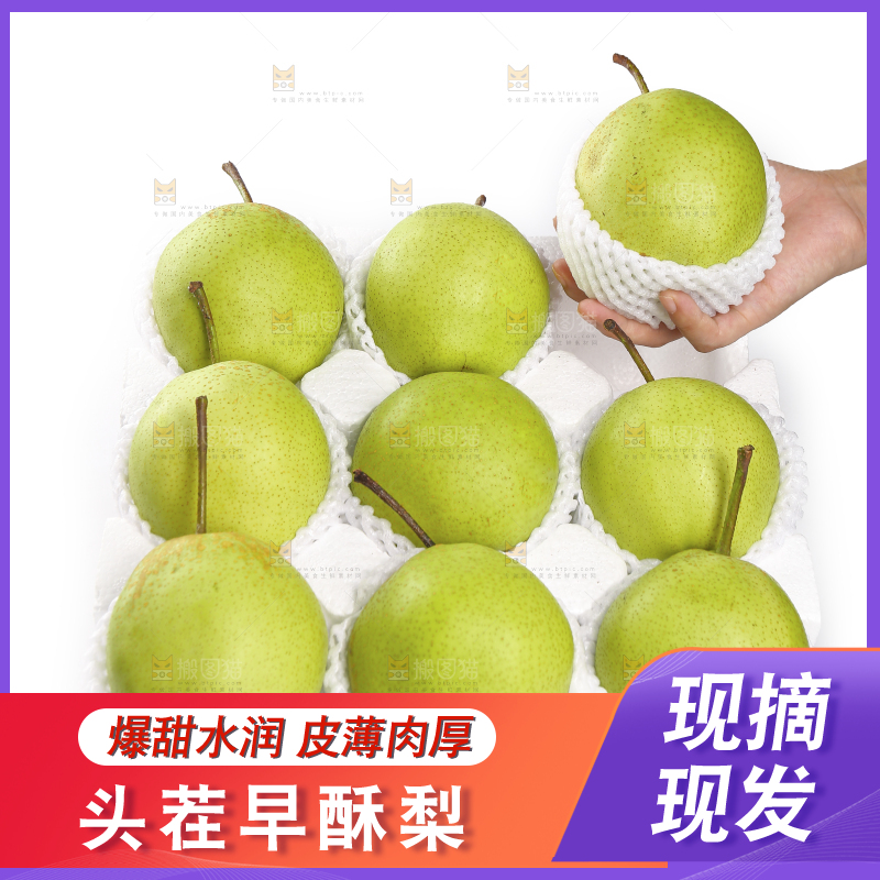 手里拿着新鲜早酥梨